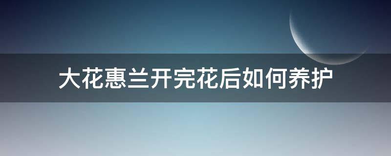 大花惠兰开完花后如何养护 大花惠兰的花能开多久