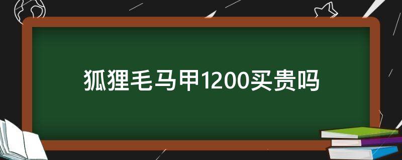 狐狸毛马甲1200买贵吗 狐狸毛马甲1000买贵吗