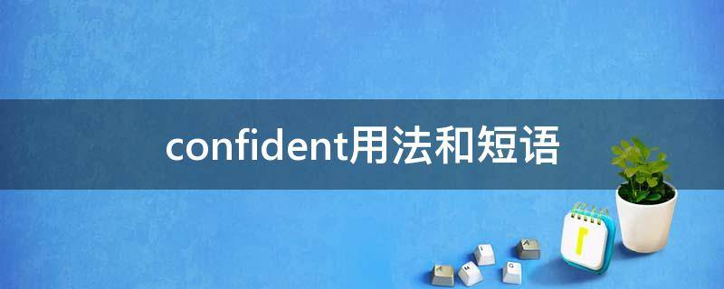 confident用法和短语（confident的短语）