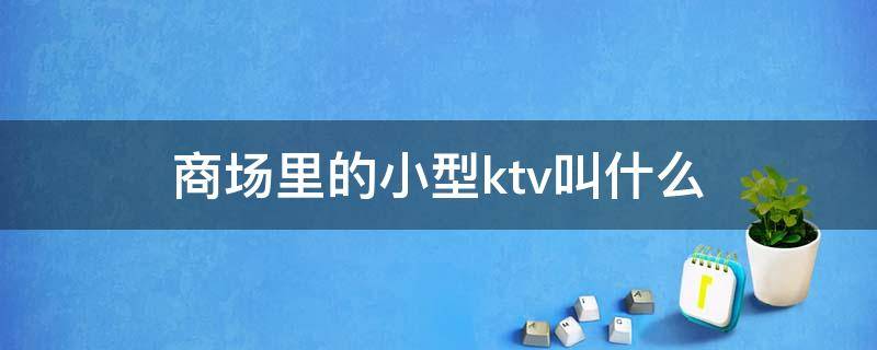 商场里的小型ktv叫什么（商场小ktv叫什么名字）