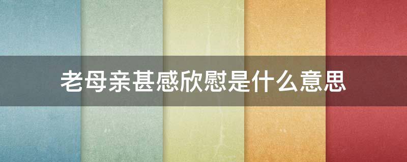 老母亲甚感欣慰是什么意思 老母亲感到很欣慰是什么意思