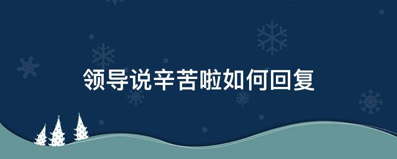 领导说辛苦啦如何回复（领导说辛苦啦 怎么回复）