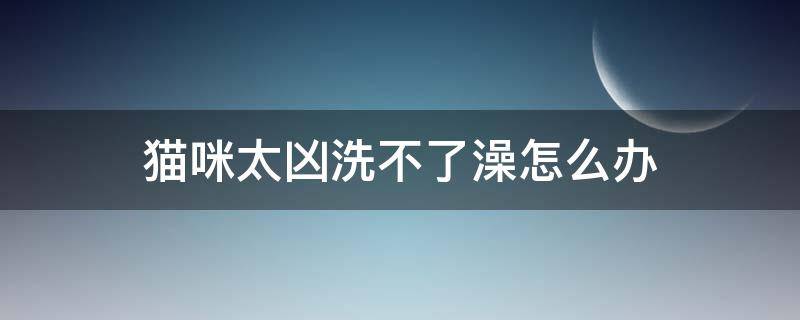 猫咪太凶洗不了澡怎么办（猫咪洗完澡很害怕怎么办）