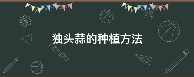 独头蒜的种植方法 独头蒜的种植方法和时间