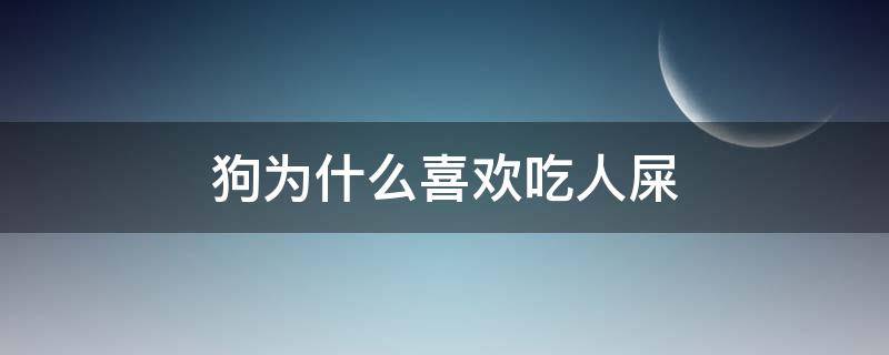 狗为什么喜欢吃人屎 狗为啥喜欢吃人屎