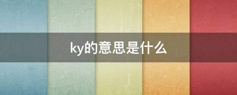 ky的意思是什么（ky的意思是什么意思）