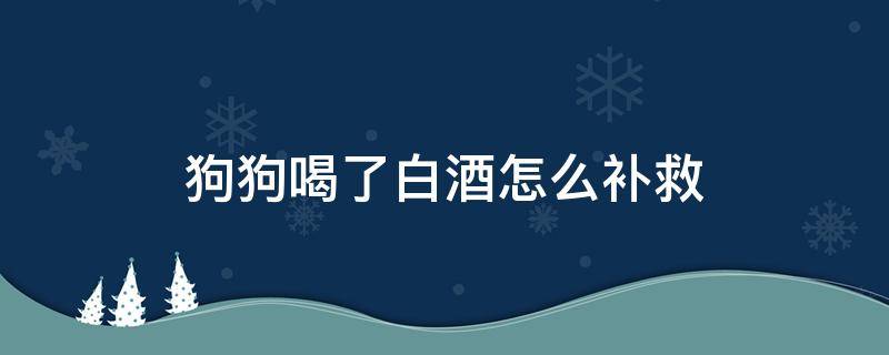 狗狗喝了白酒怎么补救 狗狗喝了白酒怎么办啊