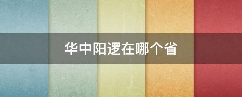 华中阳逻在哪个省 华中阳逻是什么地方