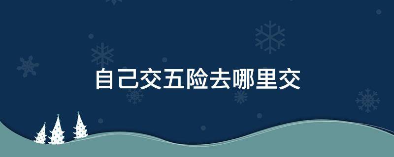 自己交五险去哪里交 五险自己交要去哪里交