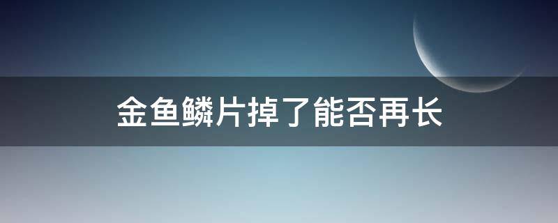 金鱼鳞片掉了能否再长（金鱼鳞片掉了,多长时间能长出来）