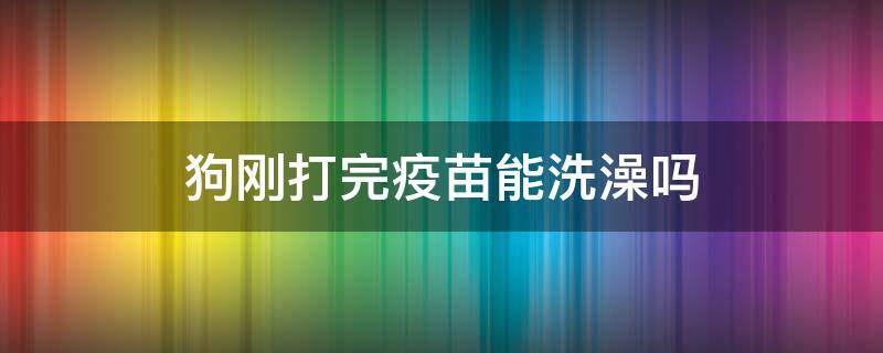 狗刚打完疫苗能洗澡吗 狗刚打完疫苗能洗澡么