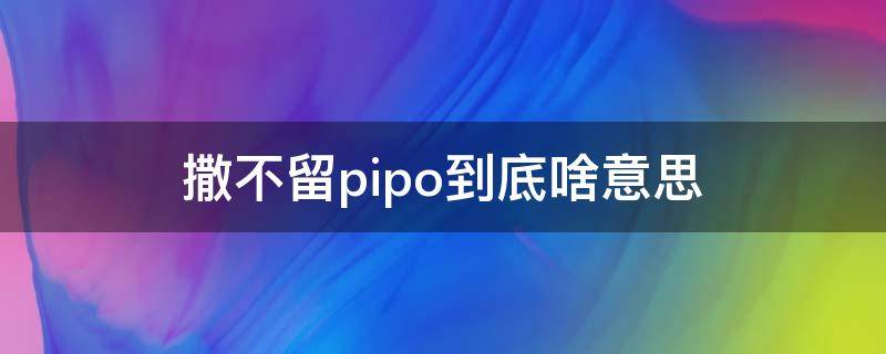 撒不留pipo到底啥意思 撒不溜pipo到底是啥意思