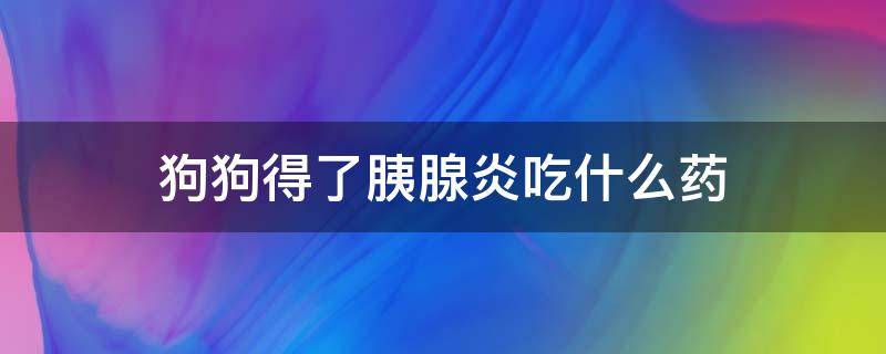 狗狗得了胰腺炎吃什么药 狗狗得了胰腺炎吃什么药可以代替吊水