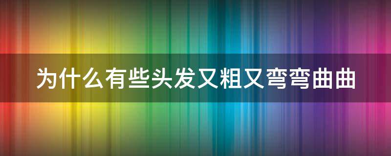 为什么有些头发又粗又弯弯曲曲（为什么有些头发又粗又弯弯曲曲的）