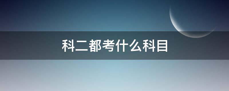 科二都考什么科目（2022科二都考什么科目）