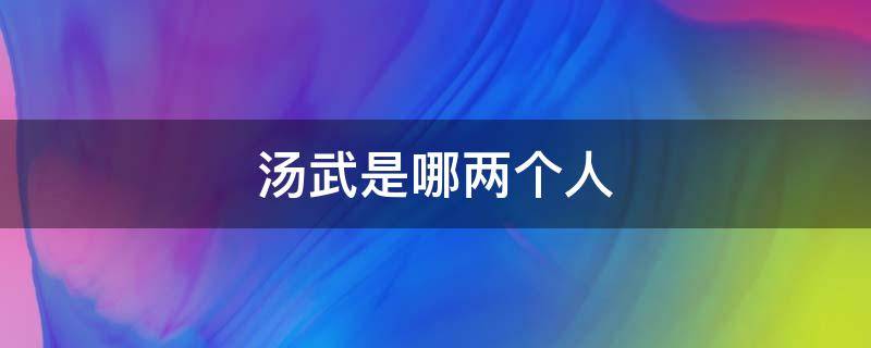 汤武是哪两个人 汤武什么意思