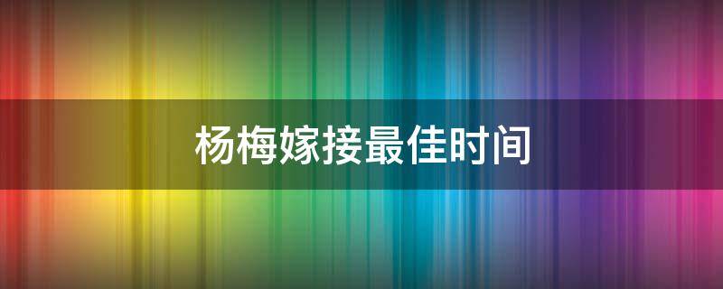 杨梅嫁接最佳时间 杨梅嫁接最佳时间是什么时候