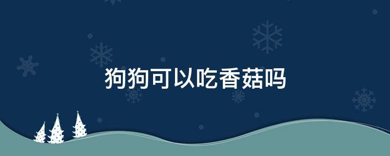 狗狗可以吃香菇吗 比熊狗狗可以吃香菇吗