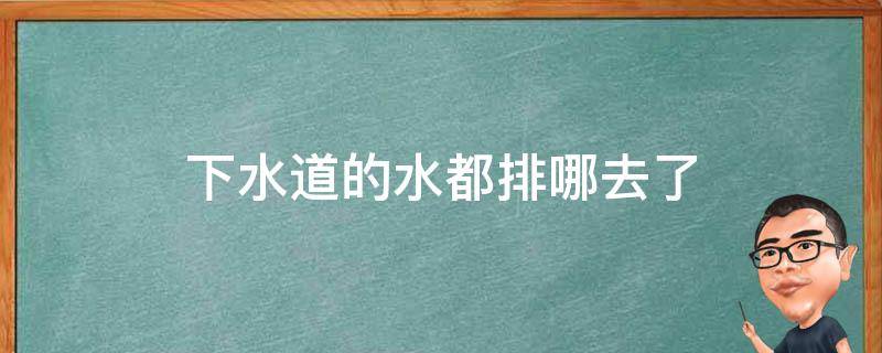 下水道的水都排哪去了（下水道排水到哪里）