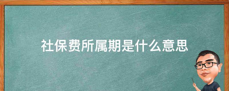 社保费所属期是什么意思（社保费款所属期）