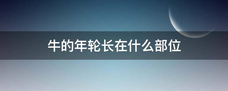 牛的年轮长在什么部位 牛的年轮长在什么部位常识问答