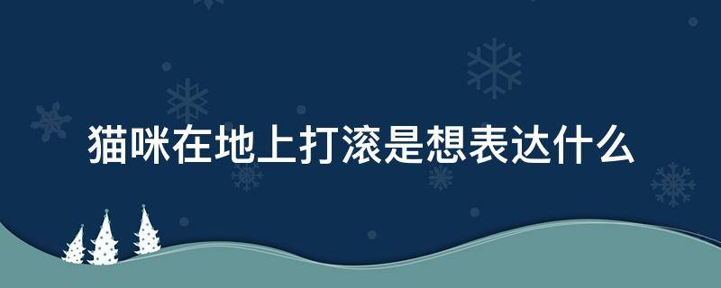 猫咪在地上打滚是想表达什么 猫咪地上打滚什么意思