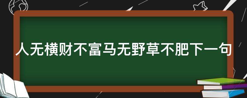 人无横财不富马无野草不肥下一句（人无横财不富马无野草不肥后两句是什么）