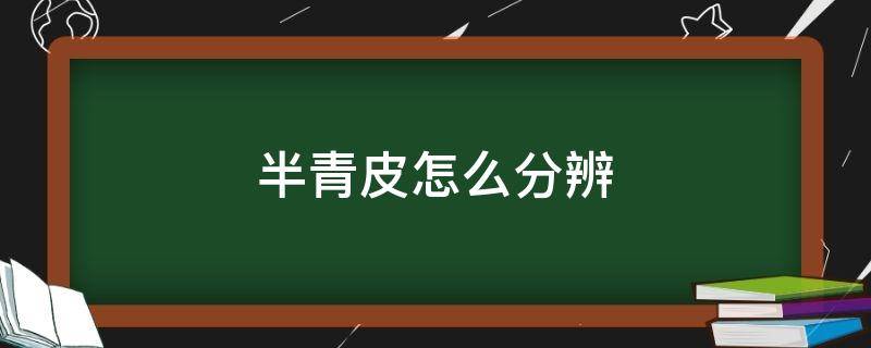 半青皮怎么分辨 什么是半青皮