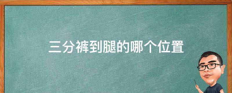 三分裤到腿的哪个位置 三分裤到哪里