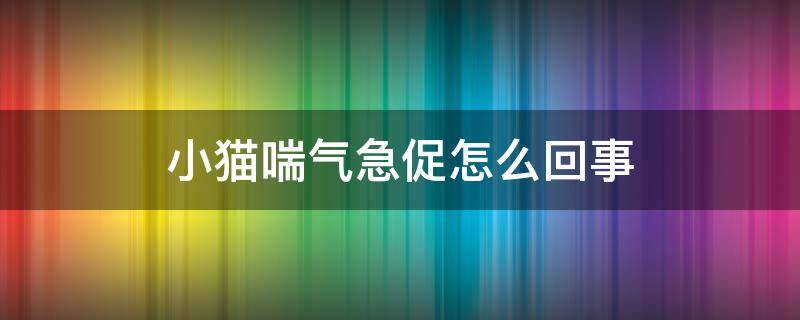 小猫喘气急促怎么回事（刚出生的小猫喘气急促怎么回事）