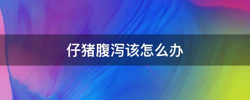 仔猪腹泻该怎么办（仔猪腹泻有什么好办法）