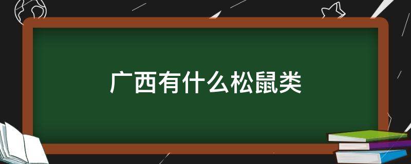 广西有什么松鼠类（广西一般是什么松鼠）