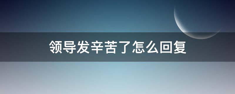 领导发辛苦了怎么回复（领导辛苦了,怎么回复）