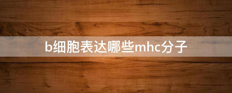 b细胞表达哪些mhc分子（b细胞表面有mhc）