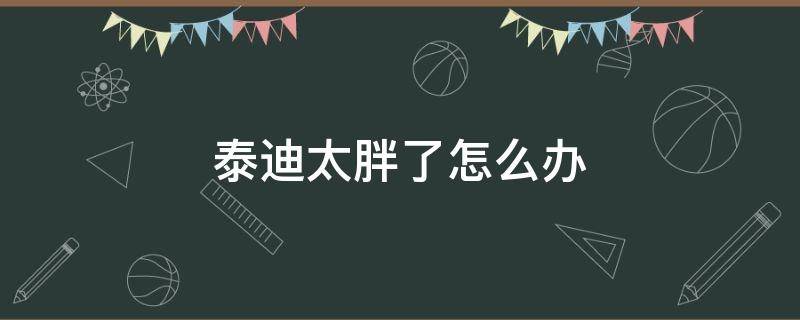 泰迪太胖了怎么办 泰迪太肥了怎么办