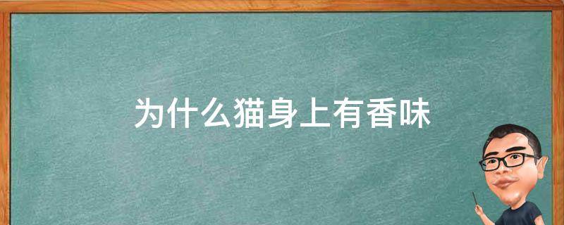 为什么猫身上有香味 为什么闻到猫身上有一股香味