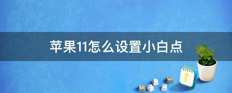 苹果11怎么设置小白点（苹果11怎么设置小白点返回上一层）