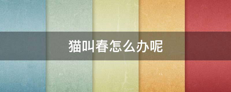 猫叫春怎么办呢（猫叫春的时候怎么办）