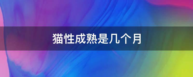 猫性成熟是几个月 猫多少个月性成熟