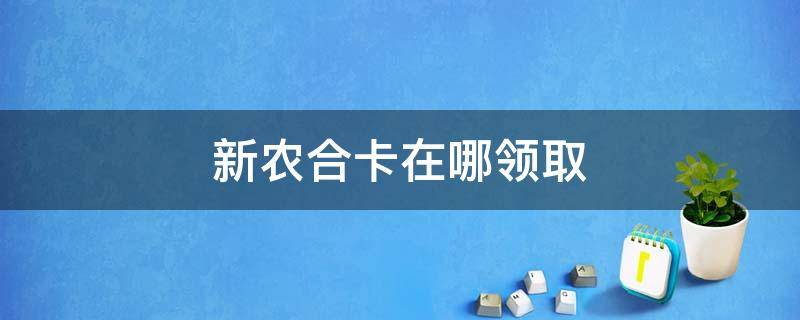 新农合卡在哪领取 领取新农合卡需要什么手续