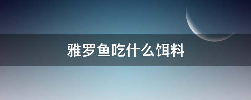 雅罗鱼吃什么饵料 雅罗鱼怎么吃