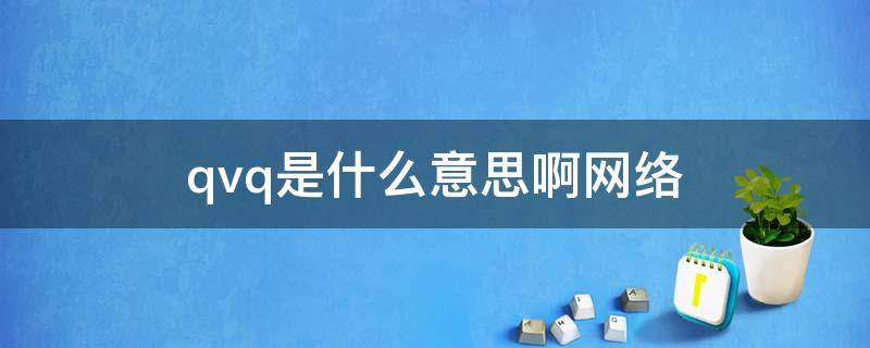 qvq是什么意思啊网络 qv是什么意思网络用语