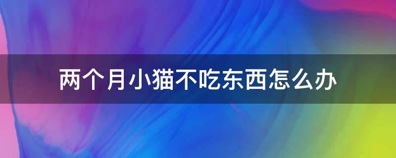 两个月小猫不吃东西怎么办（一两个月大的小猫不吃东西怎么办）