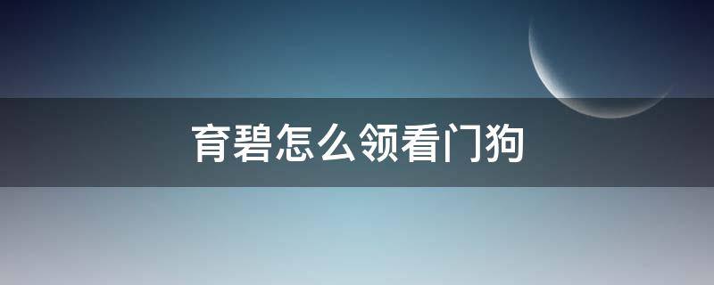 育碧怎么领看门狗 育碧领了看门狗不在游戏库