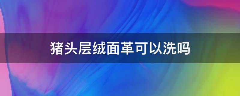 猪头层绒面革可以洗吗 绒面猪皮革的保养