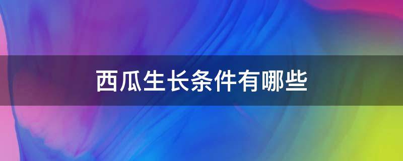 西瓜生长条件有哪些 西瓜的生长环境和气候