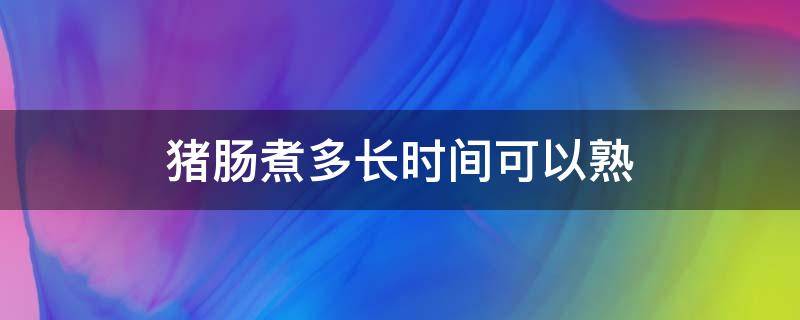 猪肠煮多长时间可以熟 猪肠煮多长时间能煮熟