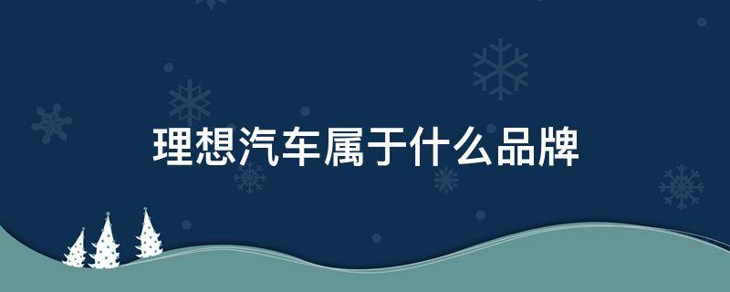 理想汽车属于什么品牌 李想