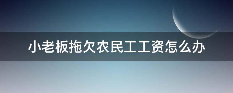 小老板拖欠农民工工资怎么办（小老板恶意拖欠农民工工资怎么办）