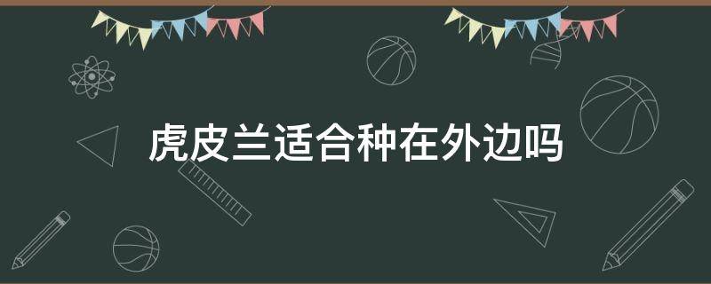 虎皮兰适合种在外边吗 虎皮兰适合种在哪里